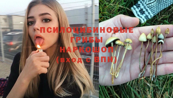 прущая мука Богородск