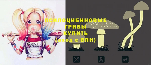 стафф Бородино