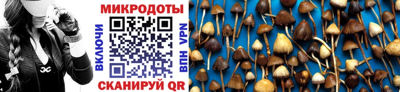 даркнет сайт Могоча Галлюциногенные грибы ЛСД